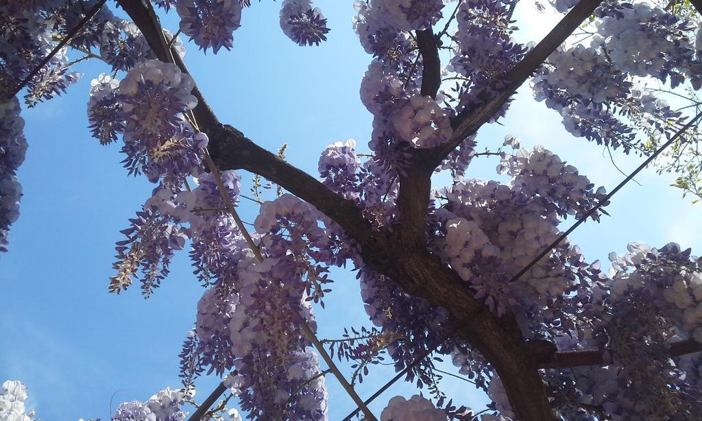 B&B Ai Tre Confini Monzambano Dış mekan fotoğraf