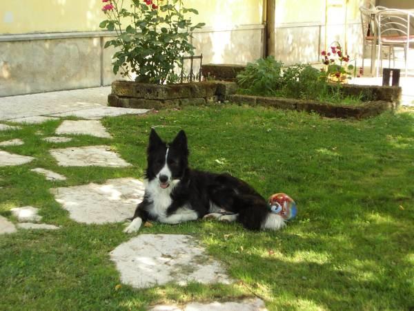 B&B Ai Tre Confini Monzambano Dış mekan fotoğraf